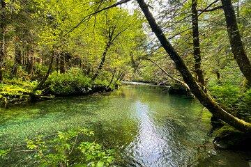 Customizable Private Hiking Tour in the Tongass National Forest