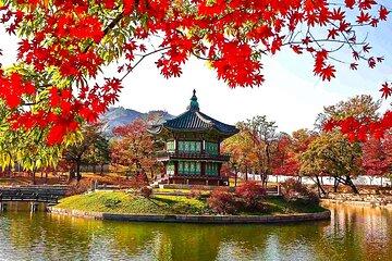 Customized 5 Days South Korea Jeju Tour with Private Car