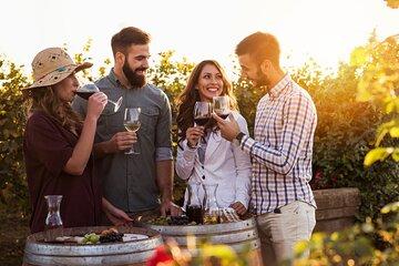 Small Group Santorini Wine Experience