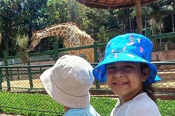 São Paulo Fun Tour Zoo Botanical Garden