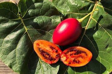 Ecuadors Tropical Fruit Guided Tasting in Quito