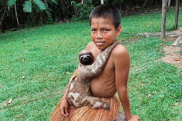 Iquitos: Amazon Jungle Forest - Full Day Adventure
