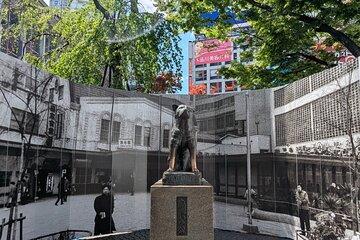 Shibuya Highlights Hachiko Scramble Meiji Jingu and Sky