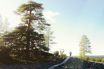 Summer Evening Hiking and Caves Tour Kätkävaara