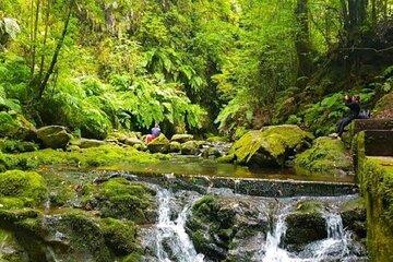 Levada Hidden Corners - Levada do Rei