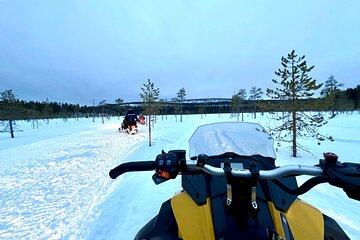 Exclusive 3h Snowmobile Safari - small group
