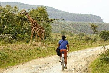 Day trip to Hells Gate and Lake Naivasha from Nairobi