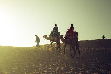Timlaline Tour: Quad, Sandboarding, Camel Ride & Free Photography