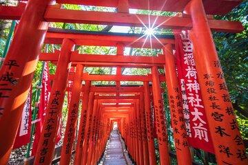 Tokyo's Top 3 Money Luck Shrines and Tsukiji Outer Market Tour