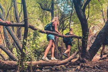 Punta Cana: Los Haitises Hike & Kayaking Mangroves