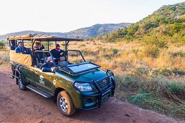 4 Day Pilanesberg Safari at Ivory Tree Game Lodge