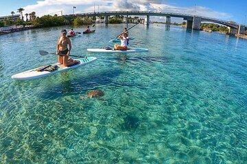 Jupiter Island Guided Paddle Boarding Tour