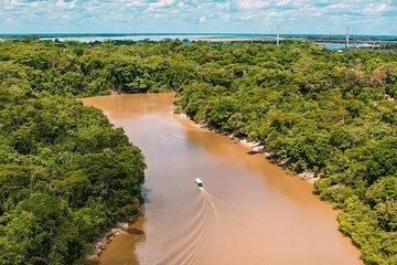 3 Day All-Inclusive Guided Jungle Tour from Iquitos
