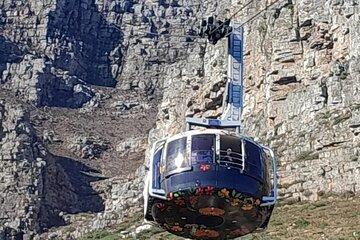 Robben Island, Table Mountain, Wine Tasting at Groot Constantia