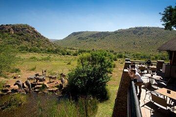 4 Day Pilanesberg Safari at Kwa Maritane Lodge