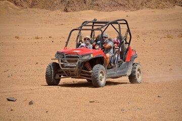 Family Buggy Car Safari With Camel Ride & Transfer - Marsa Alam