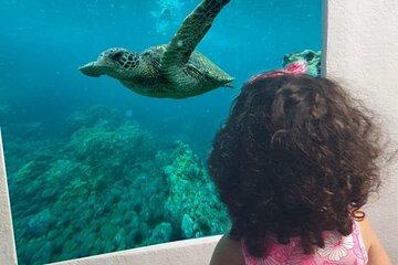 Paphos Yellow Submarine Cruise with Swimming and Drinks