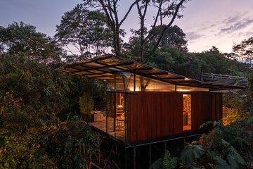 3 Day Amazon Jungle Experience All Inclusive from Quito