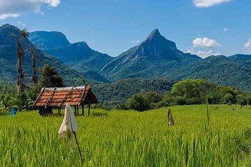 Explore Meemure with Colombo Departure Tour