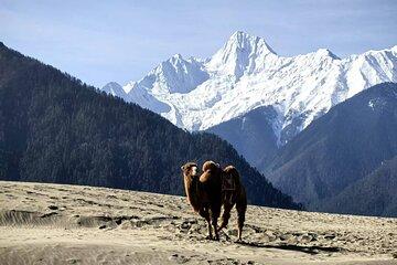 Private 7-Day Tour Overland to Tibet from Chengdu