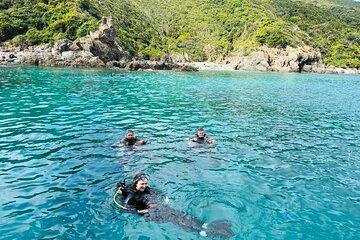 Scuba Diving in Nha Trang Explore Stunning Coral Reefs