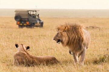 2 Day Nairobi Guided and Interactive Sightseeing Tour