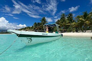 Full Day Tour to Saona Island in Private Boat