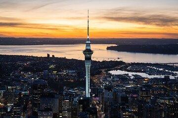 Auckland Sightseeing Tour -Private Full Day/Half Day Driver+Tesla