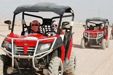 Family Buggy Car Safari & Camel Ride With Transfer - Marsa Alam