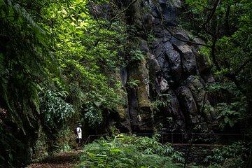 Levada do Caldeirão Verde Self-Guided Hike in Madeira