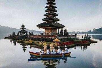 Munduk Private Car Tour Experience