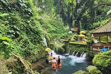 Healing and Adventure Trip in Ubud All Inclusive Journey