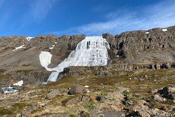Isafjordur and Westfjords Private Day Tour From Cruise Ship Port
