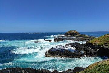 Phillip Island Private Tour: Penguin Parade & Wildlife Day