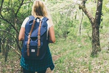 Mount Kobo Kanagawa Prefecture Hiking Trip