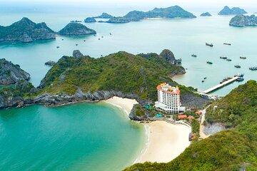 Premium Cruise Full Day Exploring Authentic Lan Ha Bay
