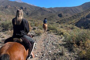 Mendoza Private Horseback Ride Experience