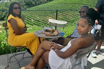 Constantia Private Tour 15 Wine Tasting and Kirstenbosch Garden