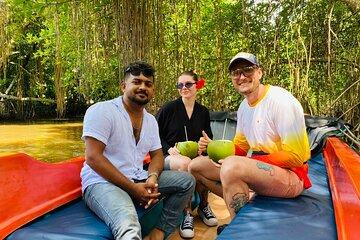 Bentota River Safari: Crocodiles, Monkeys, Birds, Mangrove Forest