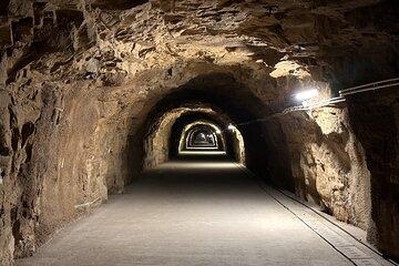 LUGA 2025: The Lower World Exceptional Exhibit at the Aquatunnel
