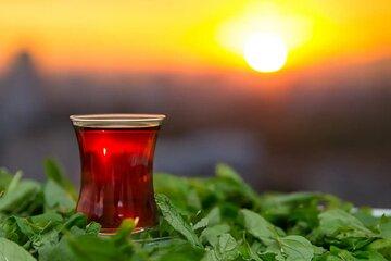 Lankaran Sea Fairy Tale in the South of Azerbaijan