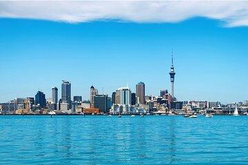 Auckland City Volcano Tour