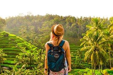 Ubud Tour: Monkey Forest, Rice Terrace, Temple and Waterfall