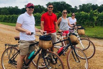 Petite Signature Ride at Upper Shirley Vineyards - 2hrs