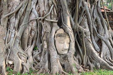 Ayutthaya Adventure Food, Temples, and History