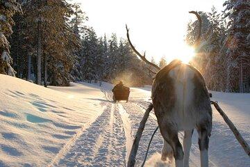 Husky Reindeer Ice Fishing One Day Experience