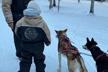 2 Day Tour Husky Ride, Snowmobiles, Northern Lights and Ranua Zoo