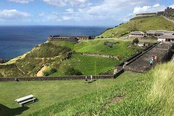 Private Basseterre Half Day Tour