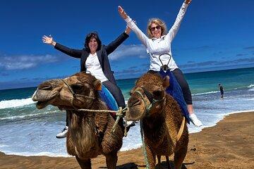 Tangier Luxury Private Day Tour From Tarifa including Camel ride