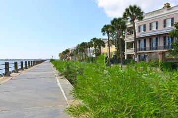 Charleston Architecture and History Tour with Architecture Expert